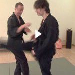 vert hans 01-150x150